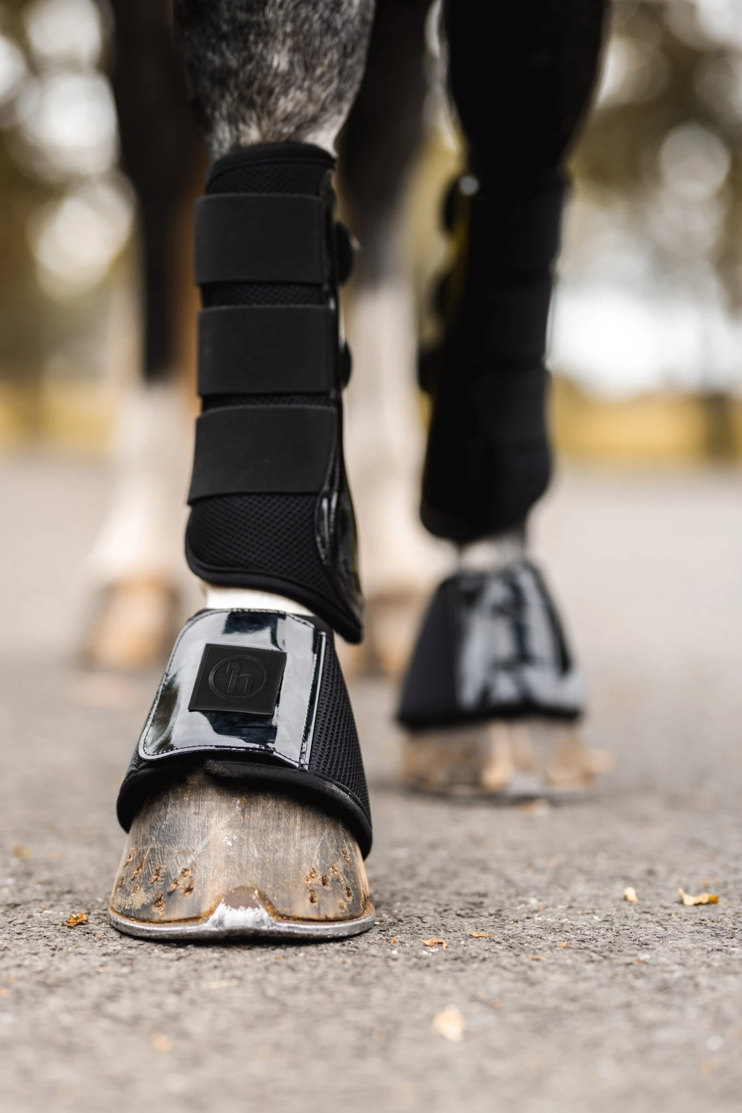 Horze Smoky Twilight Hufglocken 20 Horze Smoky Twilight Hufglocken – Bild 18