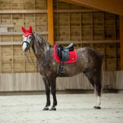 B Vertigo Raxus Fliegenhaube -Reitsportprodukte Geschäft 22862 LPPI 4