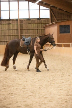 Horze Glarus Fliegenhaube Mit Metallischem Flechtdetail -Reitsportprodukte Geschäft 22917 bdbr 04