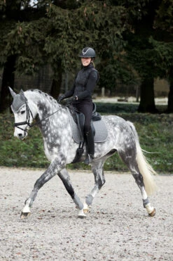 Horze Adepto Fliegenhaube 31 Horze Adepto Fliegenhaube -Reitsportprodukte Geschäft 22923 sg 05