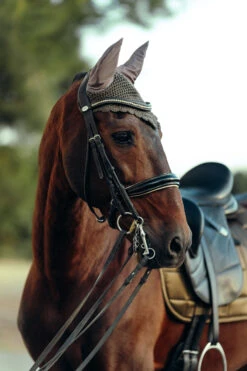 B Vertigo Drew Fliegenhaube -Reitsportprodukte Geschäft 22931 UBBR 3