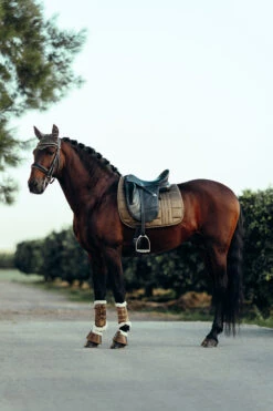 B Vertigo Drew Fliegenhaube -Reitsportprodukte Geschäft 22931 UBBR 4