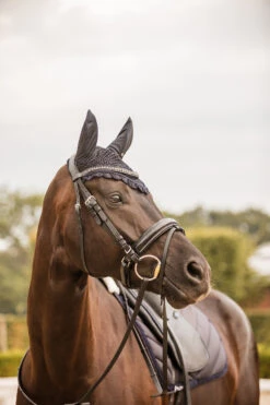 Horze Victoria Fliegenhaube 11 Horze Victoria Fliegenhaube -Reitsportprodukte Geschäft 22940 ikb 02