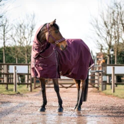 B Vertigo Georgina Weidedecke Mit Abnehmbarem Halsteil, 250g -Reitsportprodukte Geschäft 24133 WDRE 3