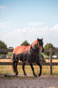 Horze Lucerne Halsteil, 250g -Reitsportprodukte Geschäft 24199 237 04