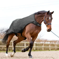 Horze Nevada Führanlagendecke, 200g -Reitsportprodukte Geschäft 24331 BL 3