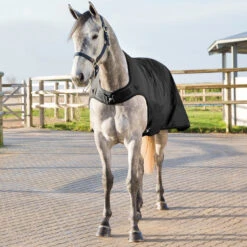 Horze Nevada Führanlagendecke, 200g -Reitsportprodukte Geschäft 24331 BL 4