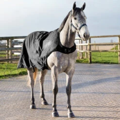 Horze Nevada Führanlagendecke, 200g -Reitsportprodukte Geschäft 24331 BL 5