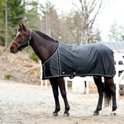 FT Sommerdecke, Enstex -Reitsportprodukte Geschäft 24370 BL BL 1