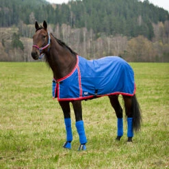 FT Sommerdecke, Enstex -Reitsportprodukte Geschäft 24370 B RE 1