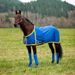 FT Sommerdecke, Enstex -Reitsportprodukte Geschäft 24370 B YE 1