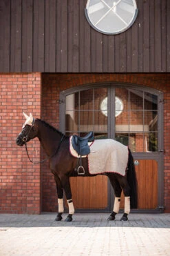 B Vertigo Amory Nierendecke -Reitsportprodukte Geschäft 24389 WTBE 3