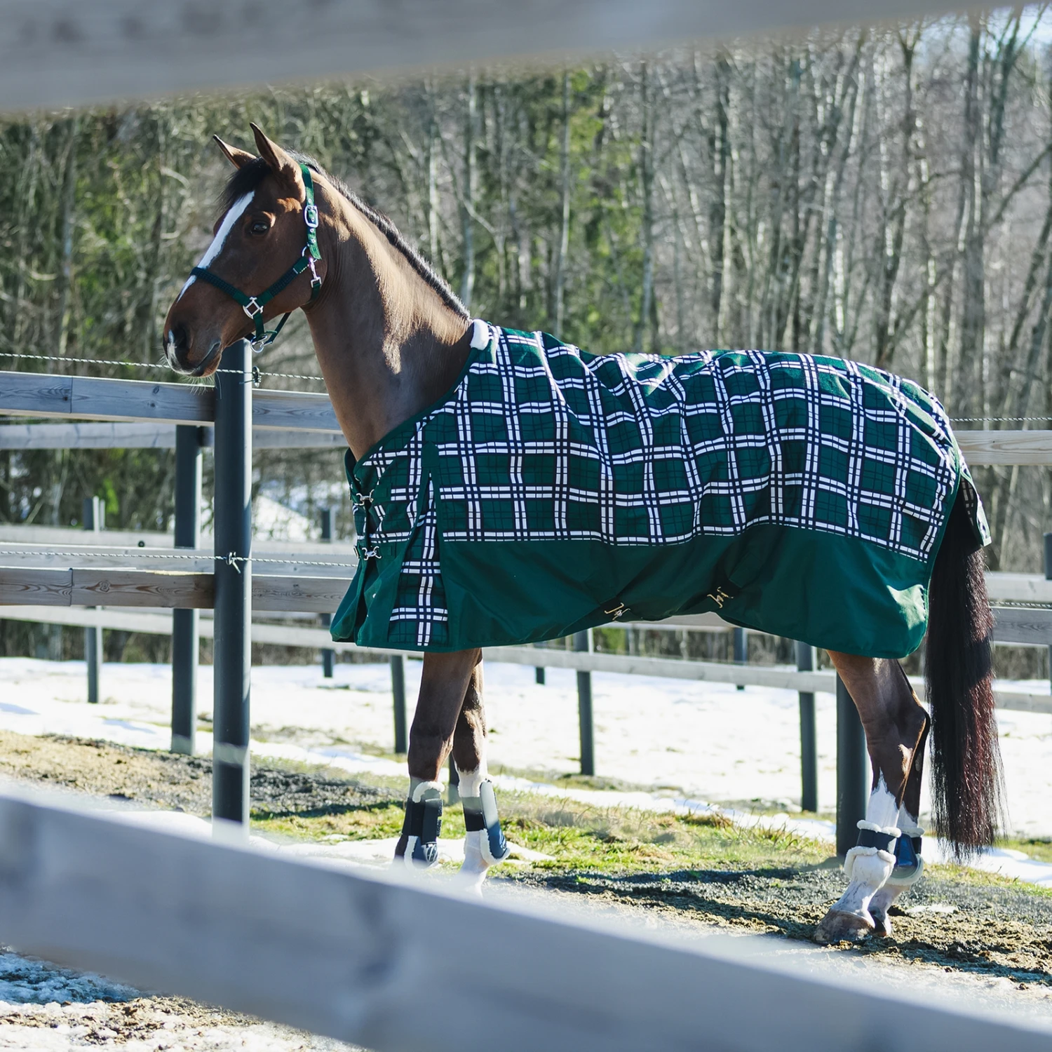 Horze Nevada Winterdecke, 400g 7 Horze Nevada Winterdecke, 400g – Bild 5