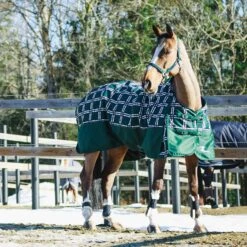 Horze Nevada Winterdecke, 400g 26 Horze Nevada Winterdecke, 400g -Reitsportprodukte Geschäft 24571 BTGR VDB 2