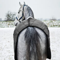 Horze Nevada Stalldecke, 200g -Reitsportprodukte Geschäft 24572 BL 6