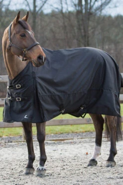 Horze Nevada Regendecke -Reitsportprodukte Geschäft 24575 BL 02