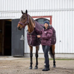 B Vertigo Corey Stalldecke, 250g -Reitsportprodukte Geschäft 24793 WDRE 1