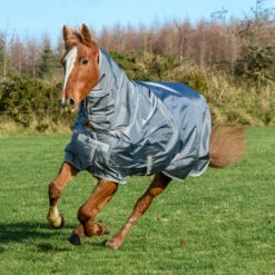 Bucas Smartex Combi Neck, 0g -Reitsportprodukte Geschäft 24860 IG 1