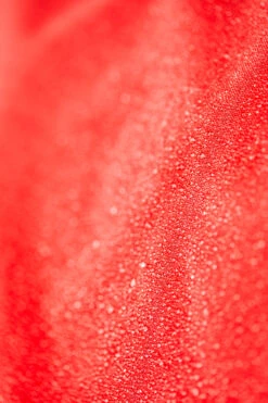 Leichte Weidedecke 600D, 100g -Reitsportprodukte Geschäft 24971 250 5