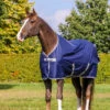 Bucas Freedom Turnout Ponydecke, 300g -Reitsportprodukte Geschäft 300451 DB 1