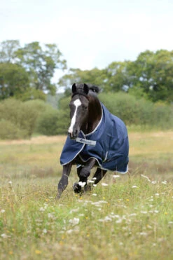 Bucas Freedom Turnout Ponydecke, 300g -Reitsportprodukte Geschäft 300451 DB 3