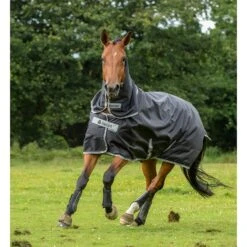 Bucas Smartex Combi Neck Halsteil 300 -Reitsportprodukte Geschäft 300493 BL 3