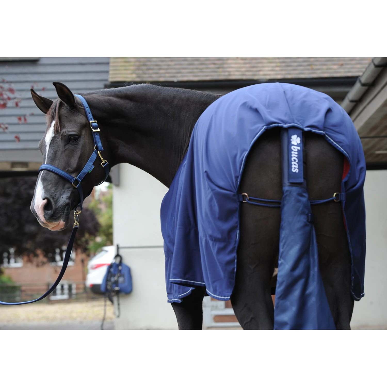 Bucas Schweifschutz/Beutel 4 Bucas Schweifschutz/Beutel – Bild 2