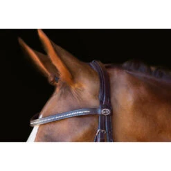 Schockemöhle Copenhagen Trense -Reitsportprodukte Geschäft 306265 DBR SI 2