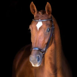 Schockemöhle Copenhagen Trense -Reitsportprodukte Geschäft 306265 DBR SI 3