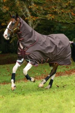 Horseware Amigo Halsteil, 0g -Reitsportprodukte Geschäft 307509 BR RE GO 2