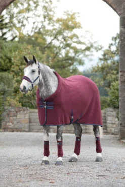 Horseware Rambo Cosy Fleece Abschwitzdecke 5 Horseware Rambo Cosy Fleece Abschwitzdecke -Reitsportprodukte Geschäft 307571 BU BU TLB 1