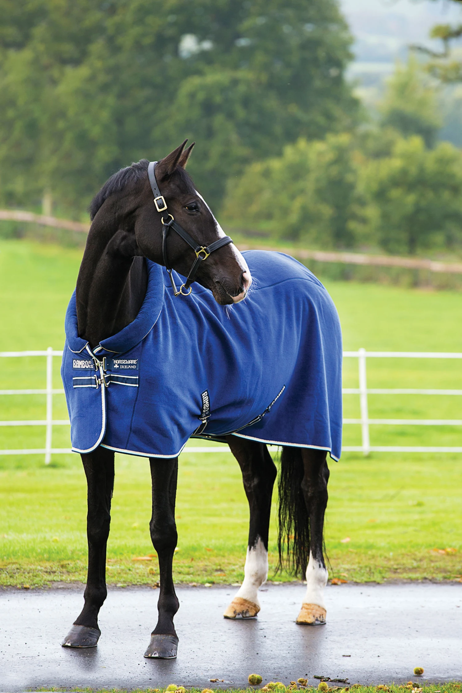 Horseware Rambo Cosy Fleece Abschwitzdecke 3 Horseware Rambo Cosy Fleece Abschwitzdecke