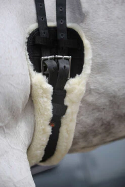 Kentucky Horsewear Lammfell Kurzgurt 7 Kentucky Horsewear Lammfell Kurzgurt -Reitsportprodukte Geschäft 307787 BL 9