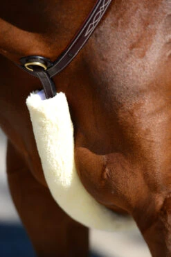 Kentucky Horsewear Lammfell Brustriemen-Schutz -Reitsportprodukte Geschäft 313003 NAT 1