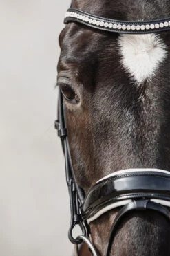 Schockemöhle Malibu Dressur-Trense Mit Kristalldetail 13 Schockemöhle Malibu Dressur-Trense Mit Kristalldetail -Reitsportprodukte Geschäft 313775 BL PTG 3