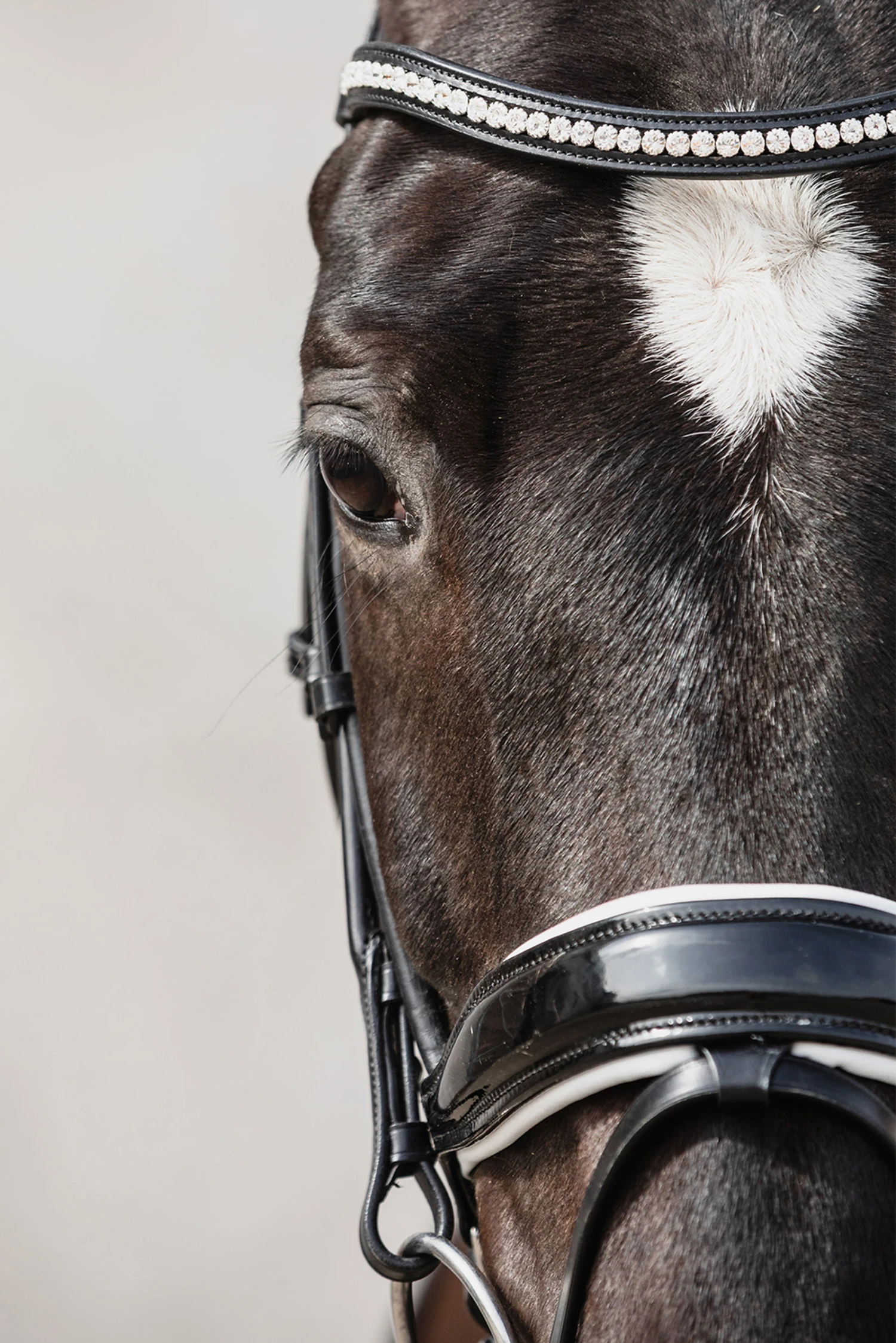 Schockemöhle Malibu Dressur-Trense Mit Kristalldetail 8 Schockemöhle Malibu Dressur-Trense Mit Kristalldetail – Bild 6