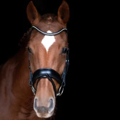 Schockemöhle Stanford Anatomische Trense -Reitsportprodukte Geschäft 313787 BL SI 3