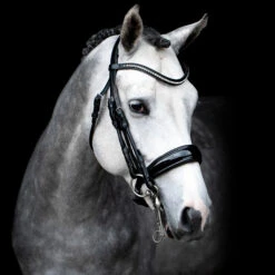 Schockmöhle Venice Anatomische Kandare Mit Kristallen -Reitsportprodukte Geschäft 313790 BL SI 3