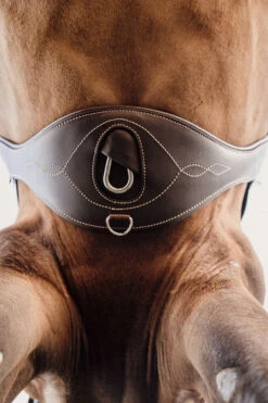 Kentucky Horsewear Anatomischer Gurt -Reitsportprodukte Geschäft 316147 BR 3