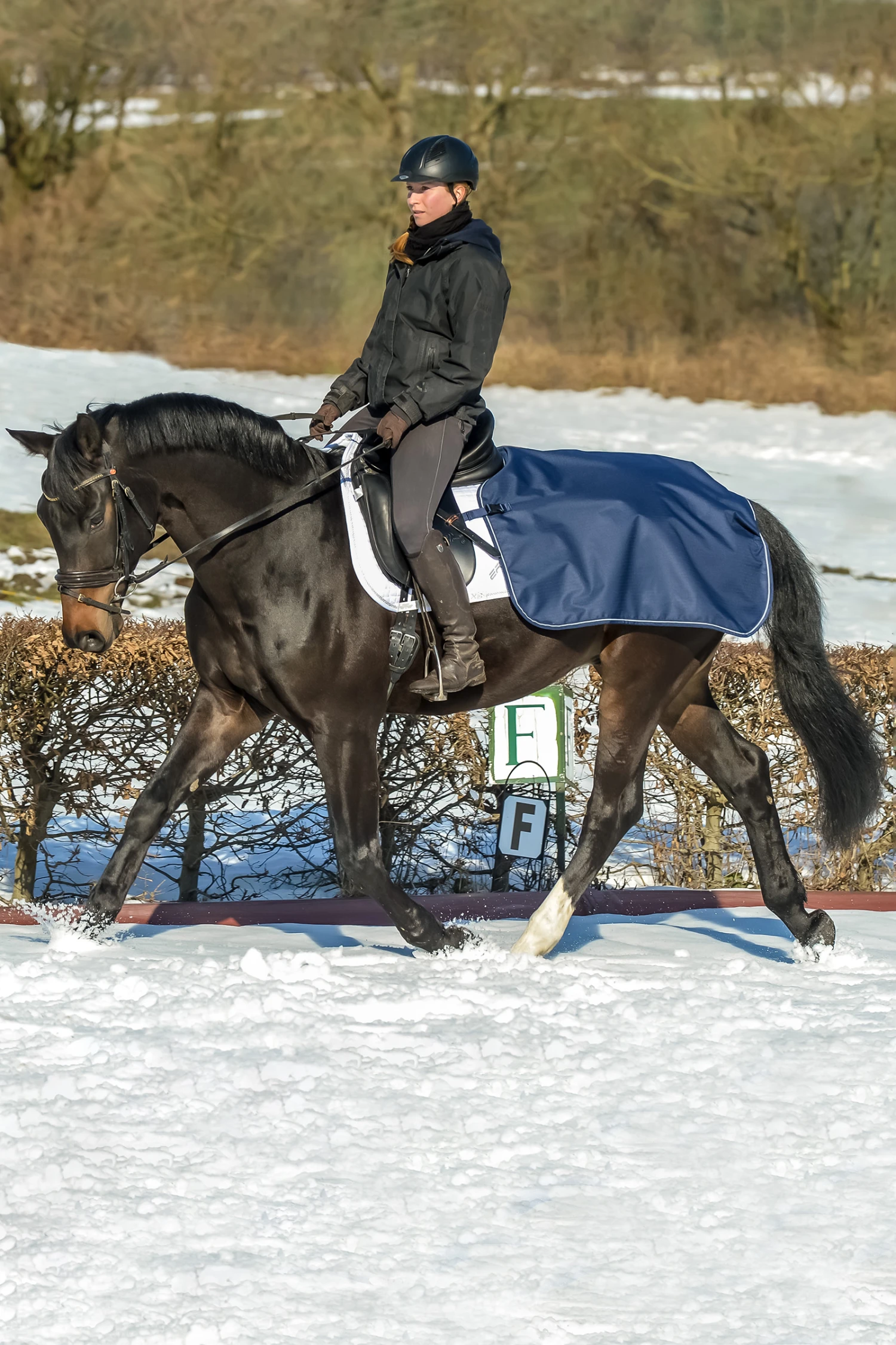 Bucas Ausreitdecke 3 Bucas Ausreitdecke