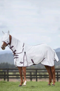Weatherbeeta Comfitec Essential Mesh Maske -Reitsportprodukte Geschäft 317416 WH DRE 2