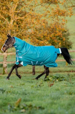 Horseware Amigo Bravo 12 Plus Weidedecke, 400g -Reitsportprodukte Geschäft 320369 STGR 1