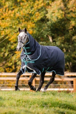 Horseware Amigo Bravo 12 Plus Winterdecke Mit Abnehmbarem Halsteil, 250g -Reitsportprodukte Geschäft 320370 DB AB 2