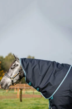 Horseware Amigo Bravo 12 Plus Winterdecke Mit Abnehmbarem Halsteil, 250g -Reitsportprodukte Geschäft 320370 DB AB 4