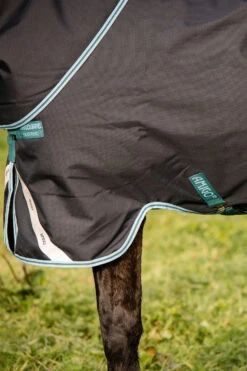 Horseware Amigo Bravo 12 Plus Winterdecke Mit Abnehmbarem Halsteil, 250g -Reitsportprodukte Geschäft 320370 DB AB 6