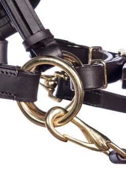 F.R.A. Pariba Sidepull (System 3) Mit Geflochtenem Nasenriemen, Inkl. Zügel -Reitsportprodukte Geschäft 322922 BR BRS 2