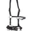 FRA Aram Hackamore (System 2) Leather, Jaw Straps, W/ Scissors -Reitsportprodukte Geschäft 322944 BL 1