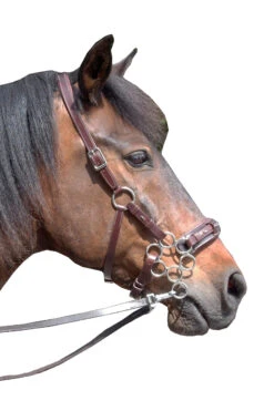 FRA Aram Hackamore (System 2) Leather, Jaw Straps, W/ Scissors 7 FRA Aram Hackamore (System 2) Leather, Jaw Straps, W/ Scissors -Reitsportprodukte Geschäft 322944 DBR 1