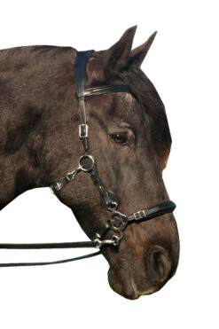 FRA Calli Hackamore (System 2) Mit Zügeln -Reitsportprodukte Geschäft 322945 BL 3