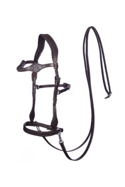 FRA Dandy Sidepull (System 3) Leather, W/ Leather Clip Reins -Reitsportprodukte Geschäft 322950 BR 1